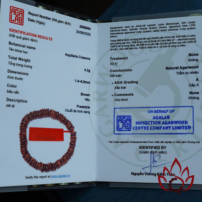 Vòng Trầm Hương Hạt Dẹp | 6-7 Ly | Trầm Bì Rễ Tự Nhiên